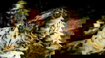 episode poster