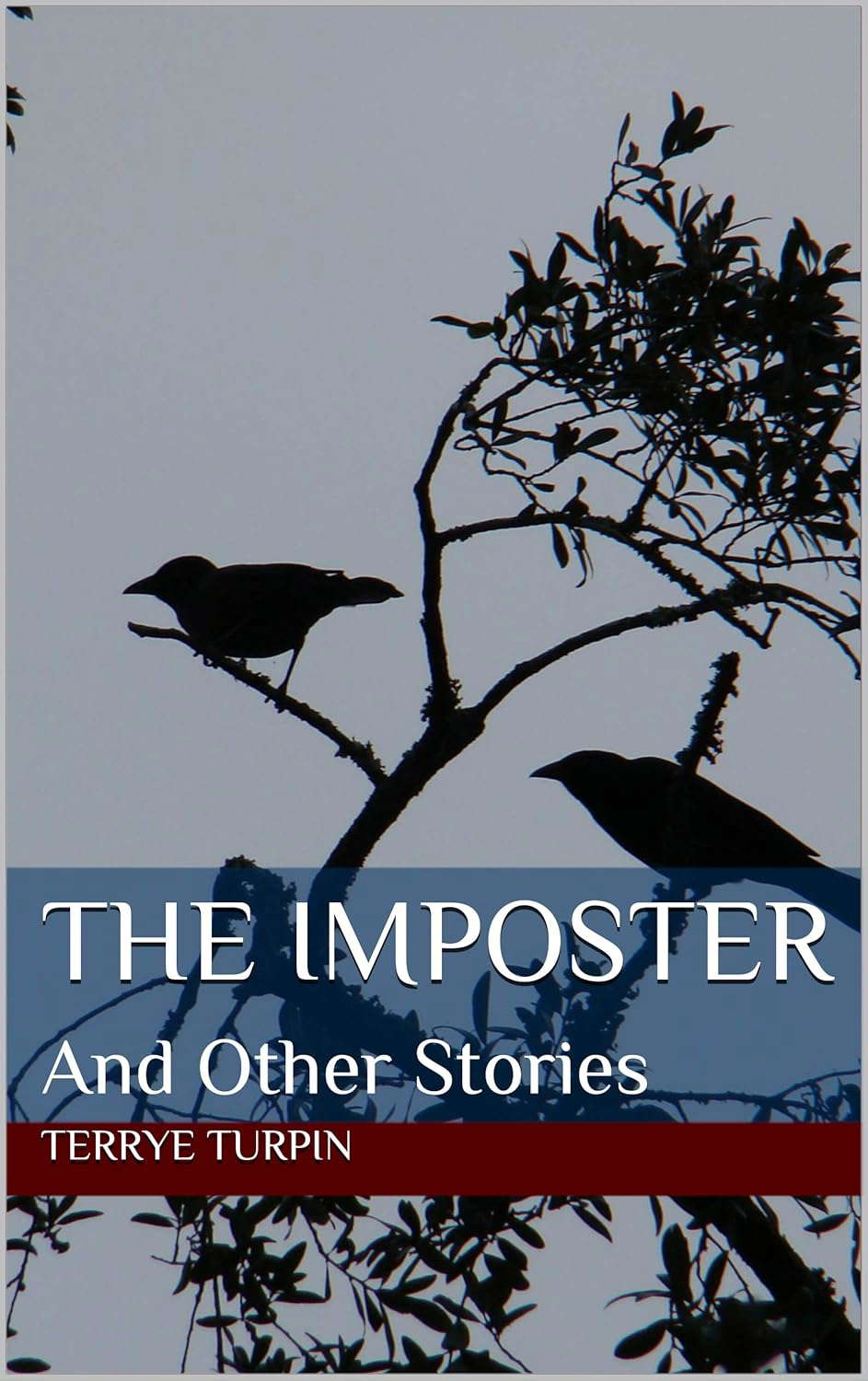 The Imposter: And Other Stories poster