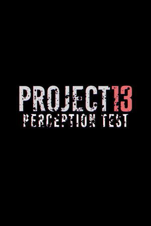 PROJECT 13 Perception Test poster