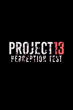PROJECT 13 Perception Test poster