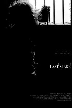 The Last Spark poster