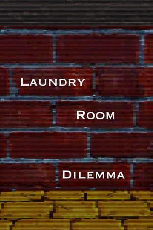 Laundry Room Dilemma poster