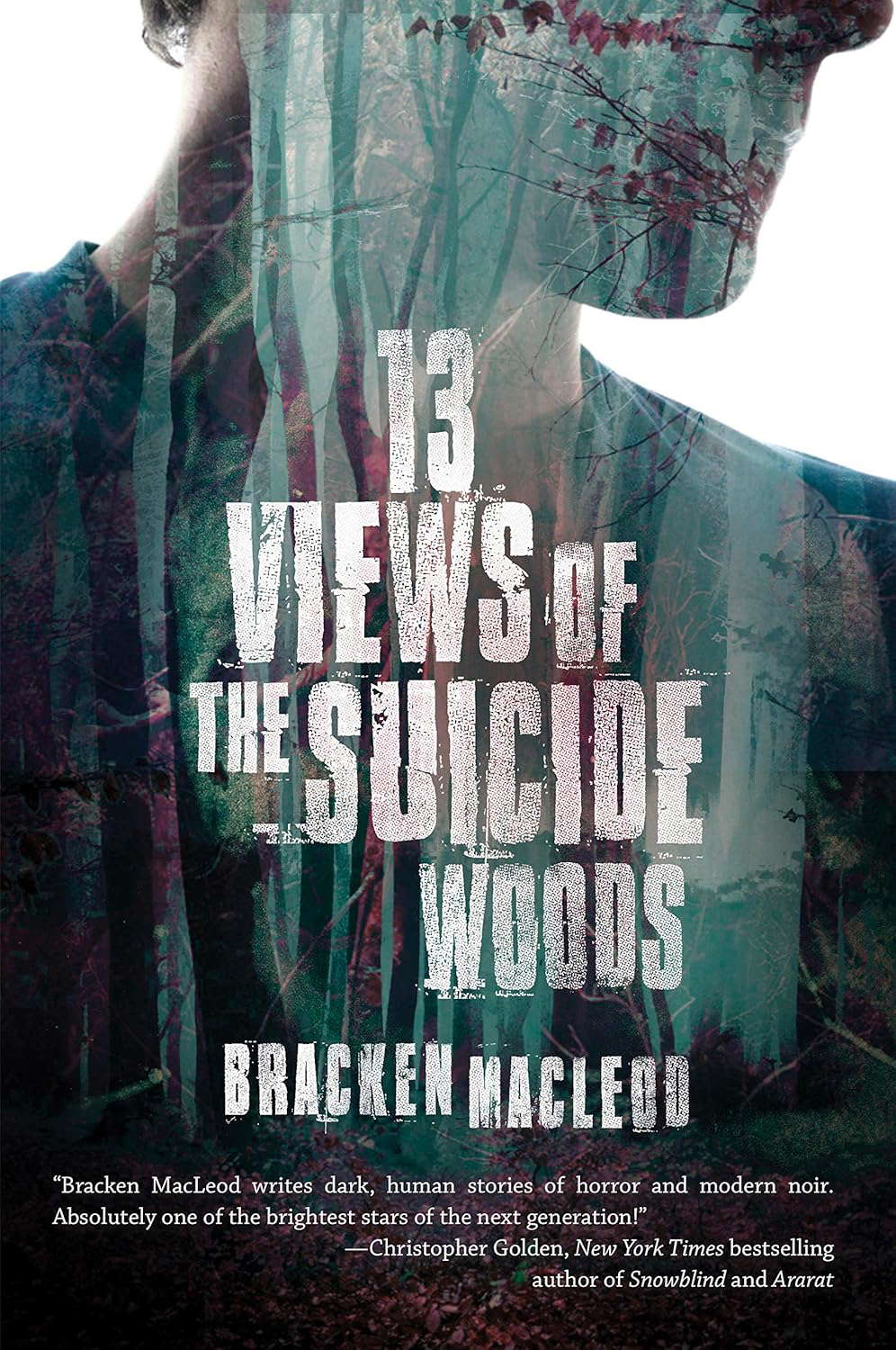 13 Views of the Suicide Woods poster