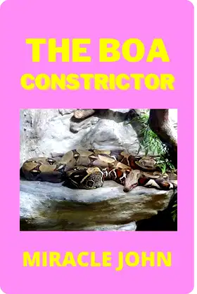 THE BOA CONSTRICTOR poster