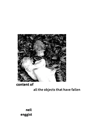 content of all the objects that have fallen poster