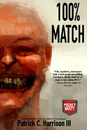 100% Match (Pocket Nasties) poster