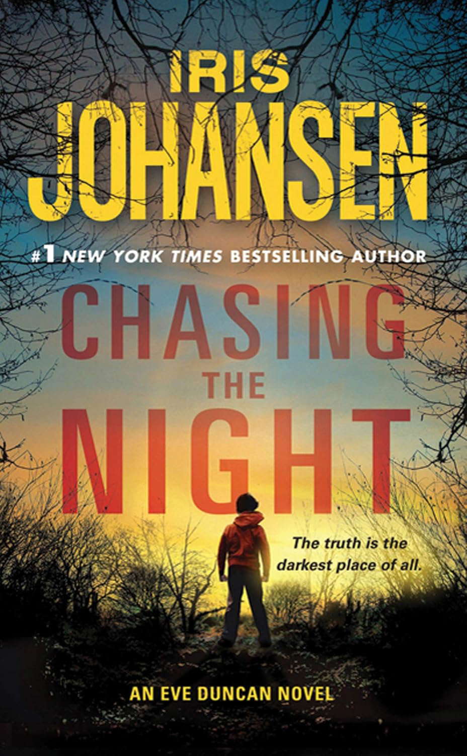 Chasing the Night: An Eve Duncan Novel (Eve Duncan, 11) poster