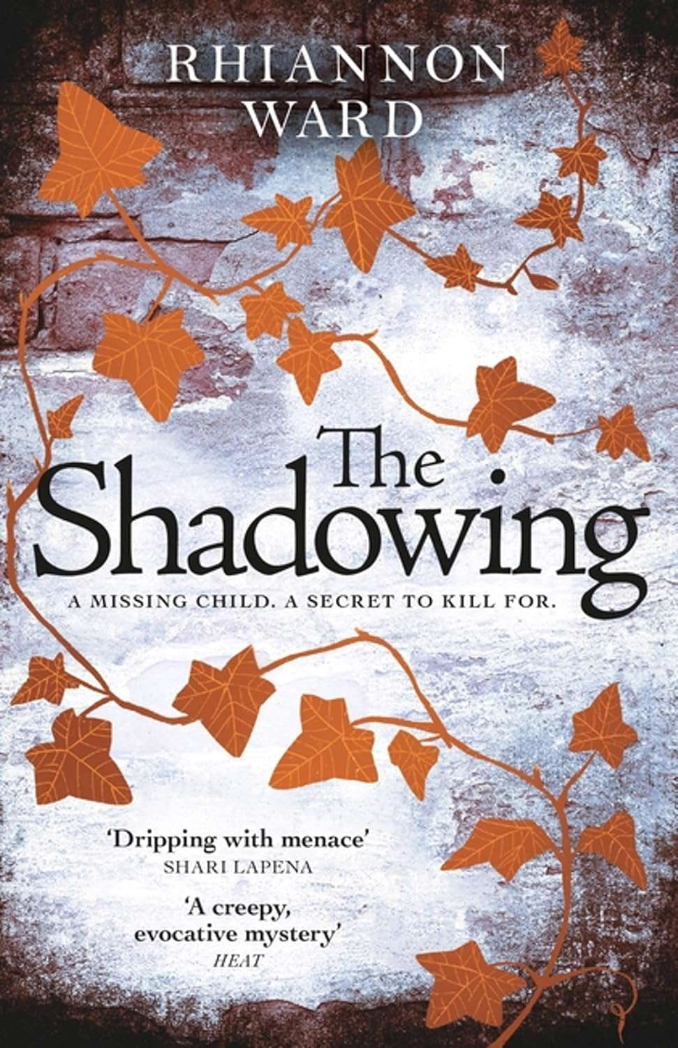 The Shadowing poster