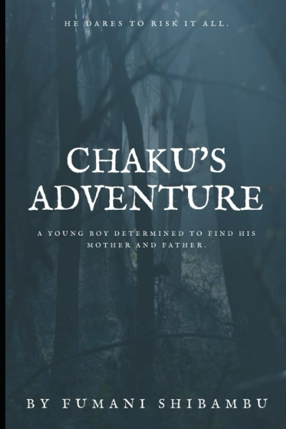 Chaku's Adventure poster