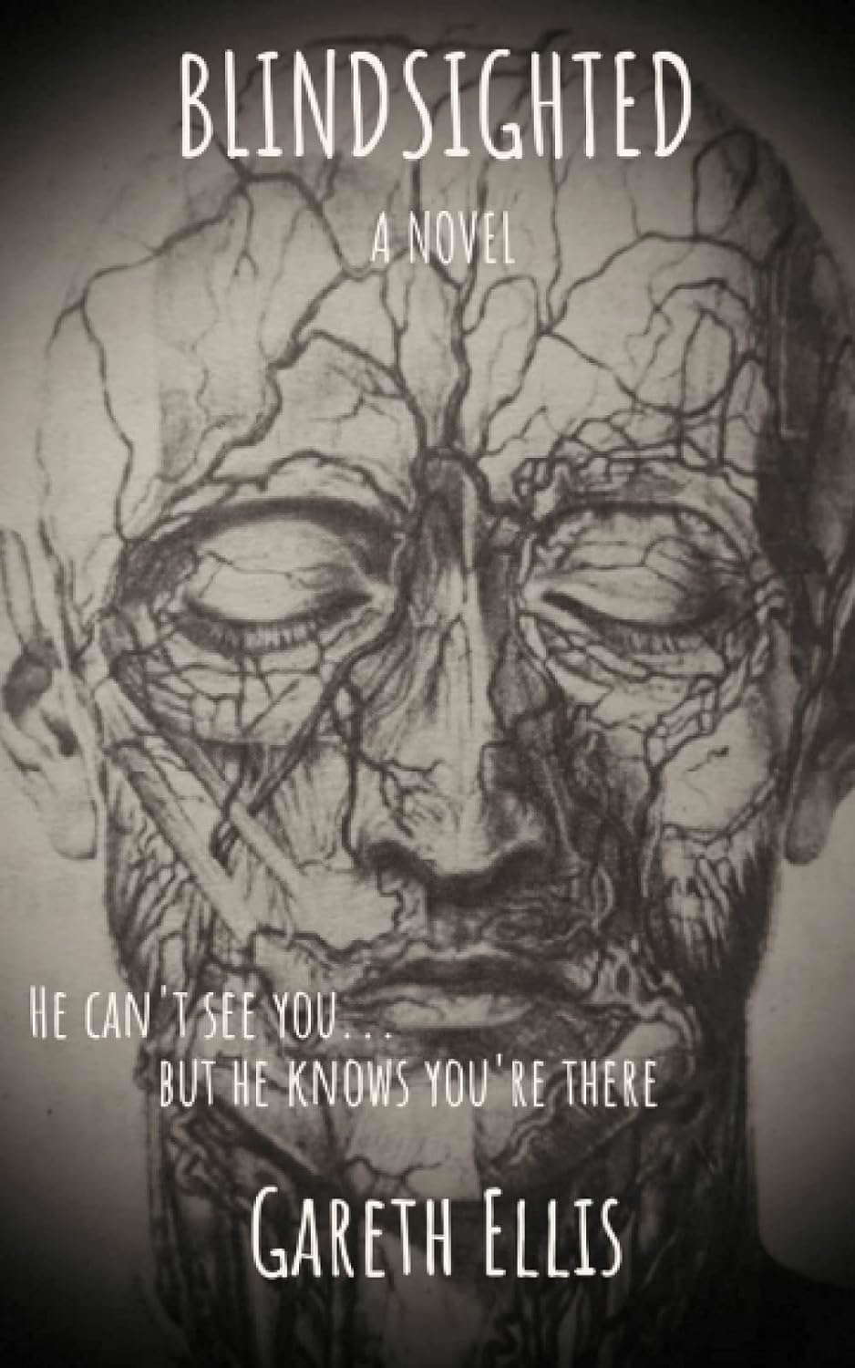 Blindsighted poster
