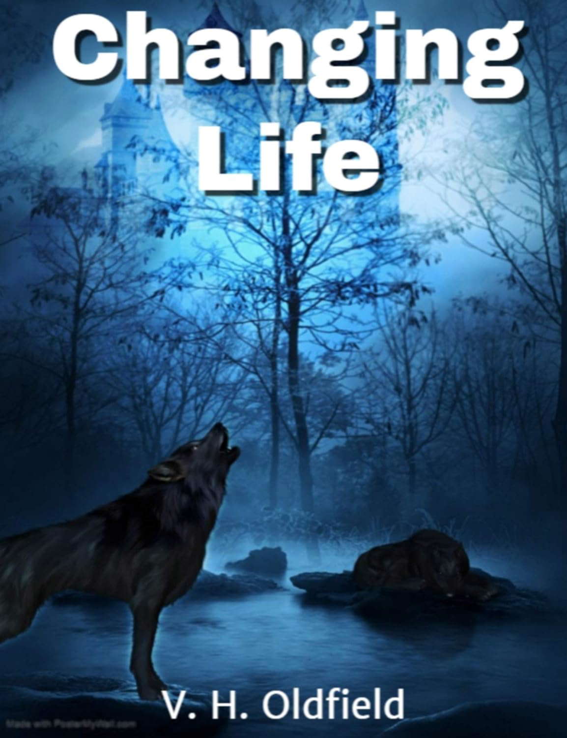 Changing Life poster