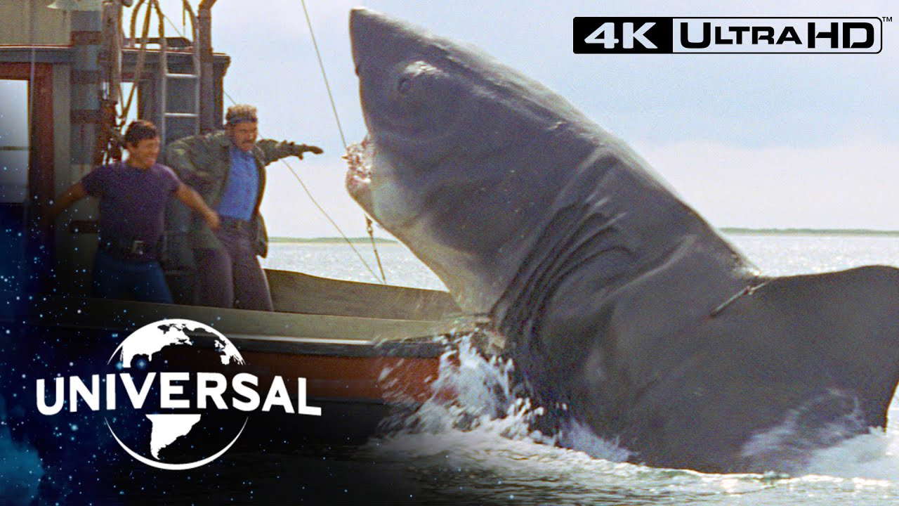 Final Face-Off With the Shark in 4K Ultra HD