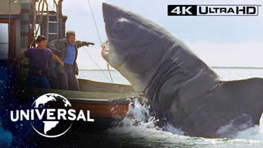 Final Face-Off With the Shark in 4K Ultra HD poster