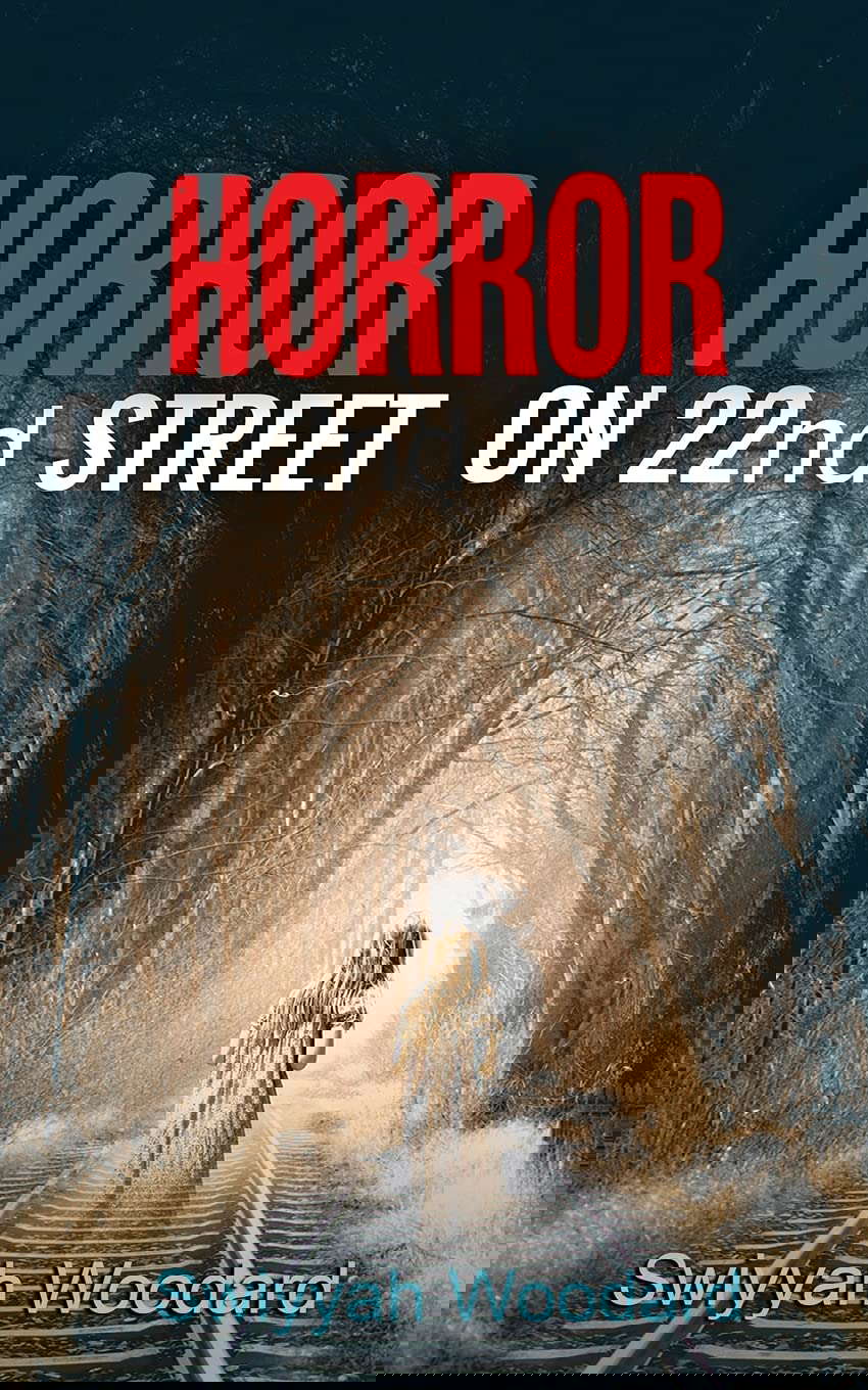 Horror on 22nd Street poster