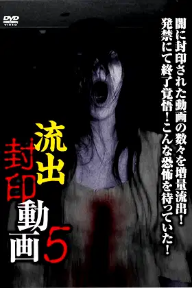 Ryūshutsu Fūin Dōga 5 poster