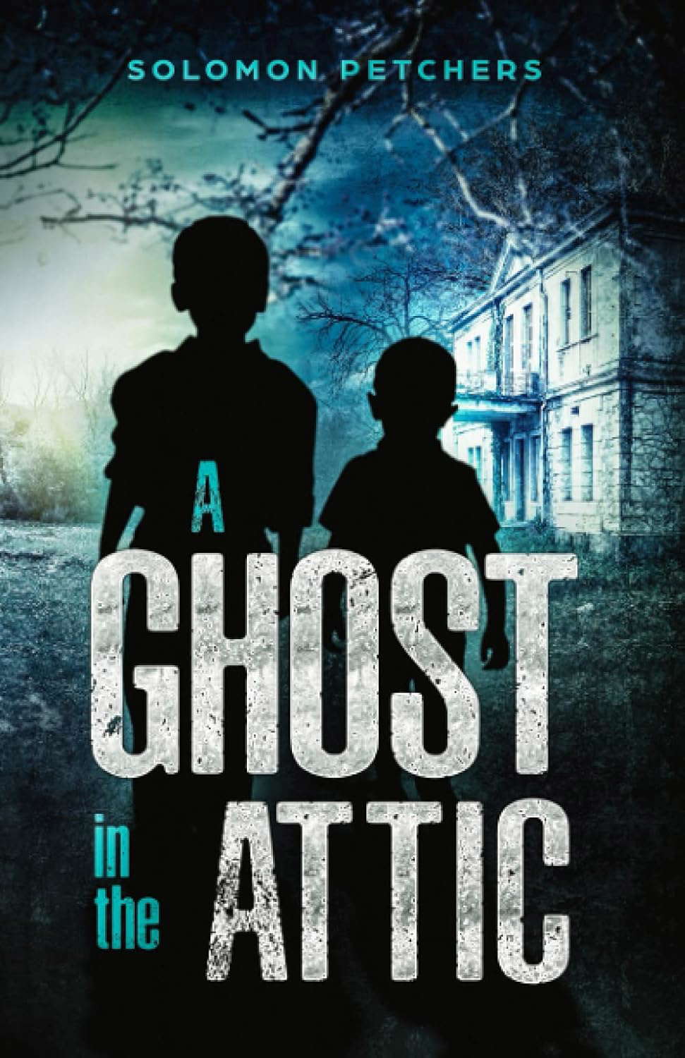 A Ghost in the Attic poster