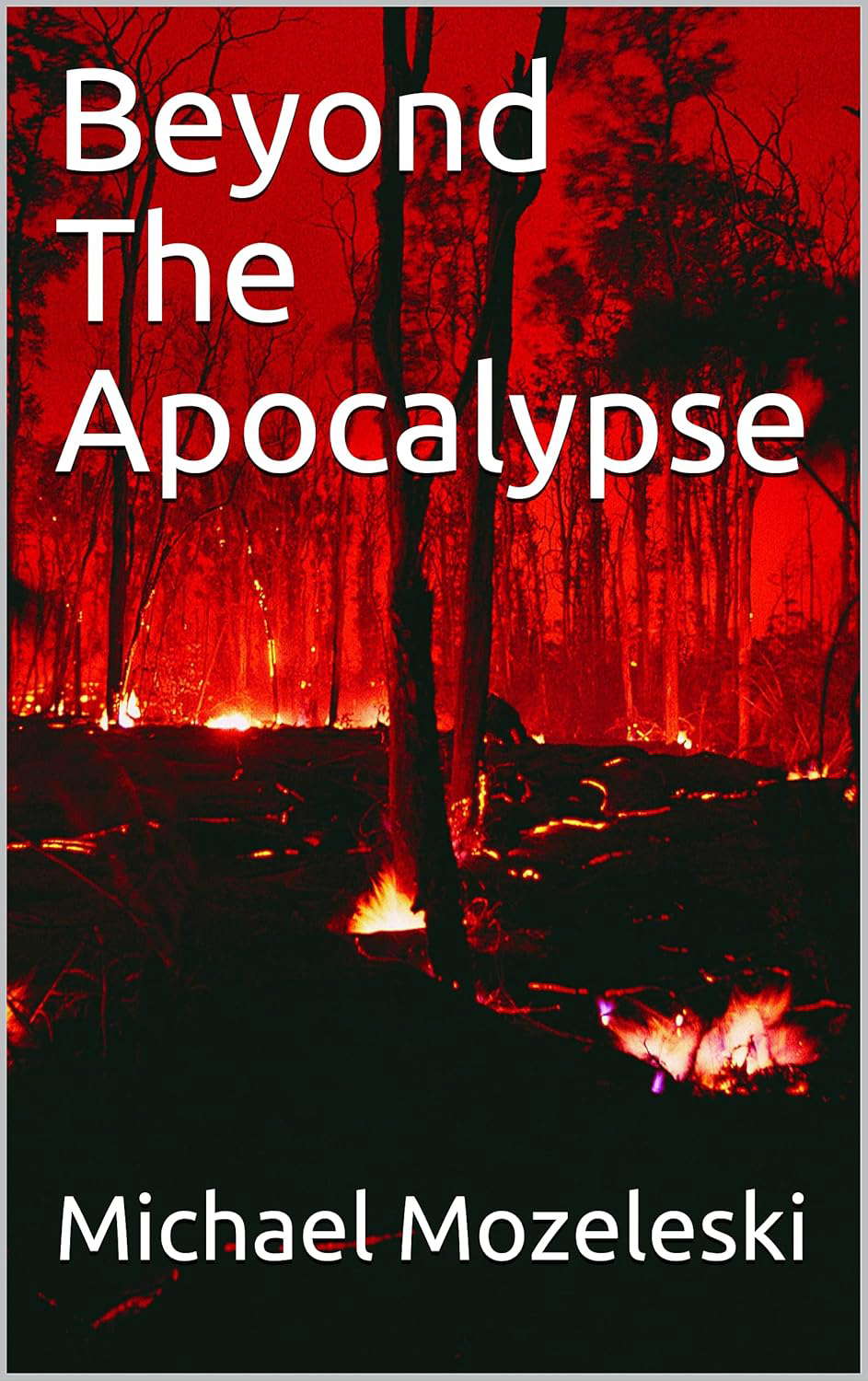 Beyond The Apocalypse poster