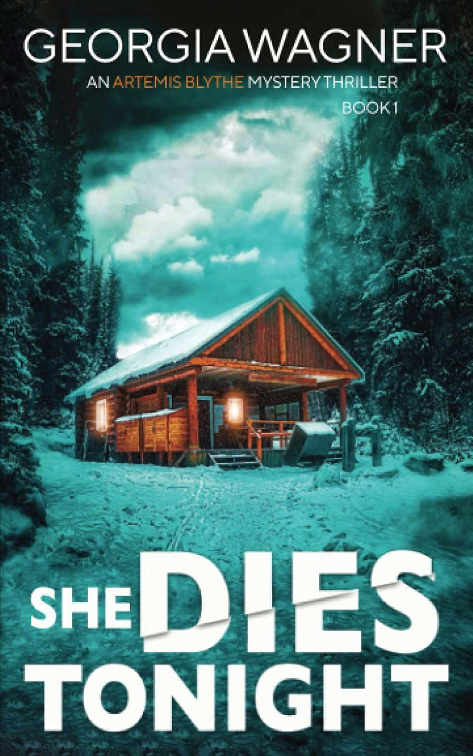 She Dies Tonight (An Artemis Blythe FBI Mystery Thriller) poster