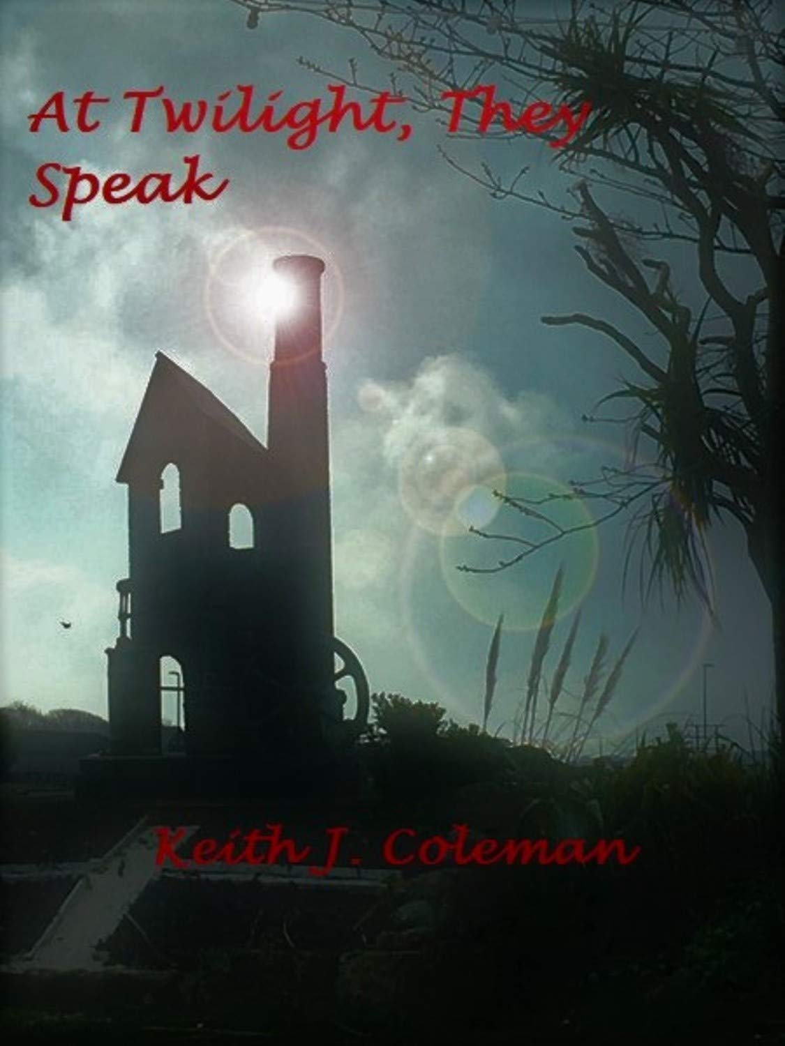 At Twilight, They Speak: Dark Tales, Scant Poems poster