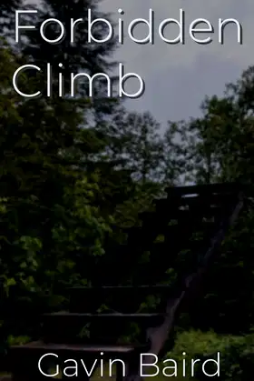 Forbidden Climb poster