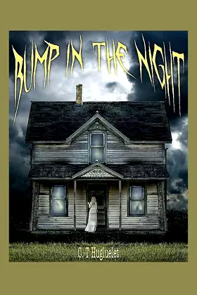 Bump In The Night poster