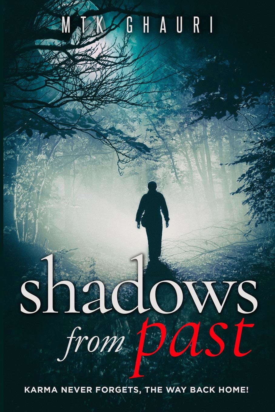 Shadows from Past: KARMA NEVER FORGETS, THE WAY BACK HOME! poster