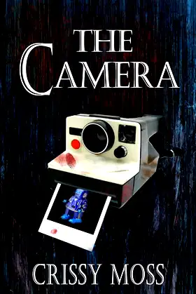 The Camera: Illicit Gains Book 3 poster