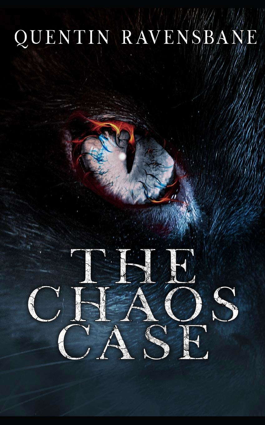 The Chaos Case poster