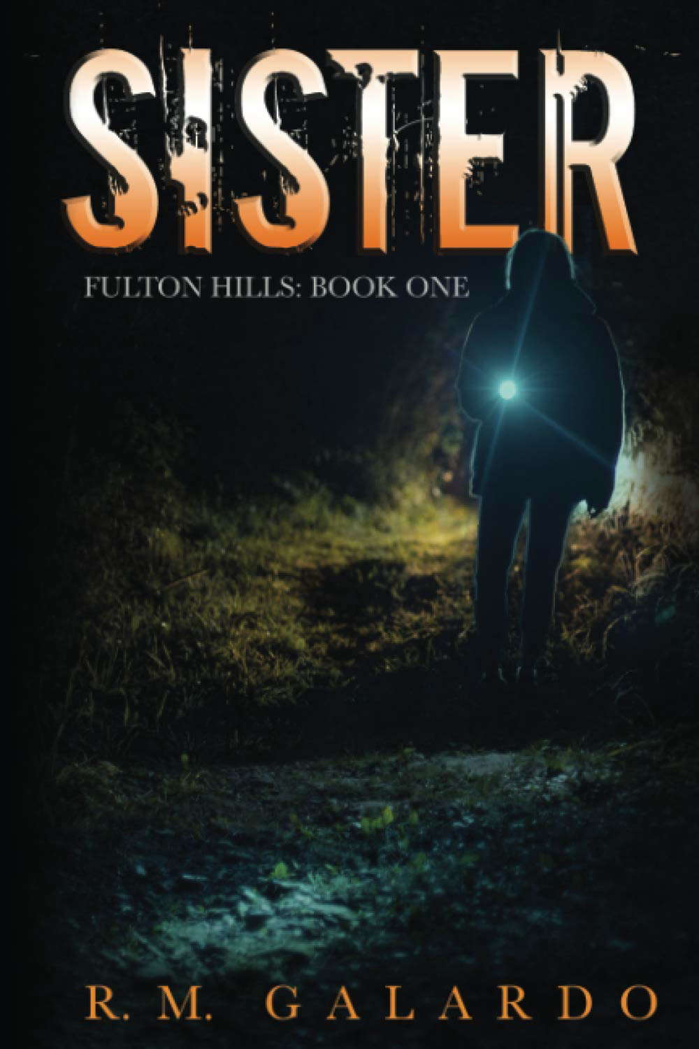Sister (Fulton Hills) poster