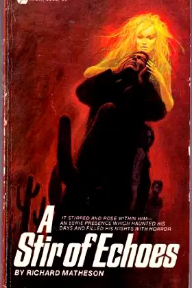 A Stir of Echoes poster