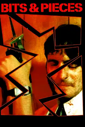 Bits and Pieces poster