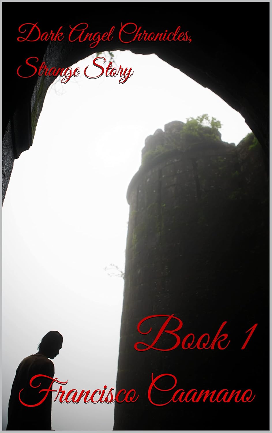 Dark Angel Chronicles, Strange Story: Book 1 poster