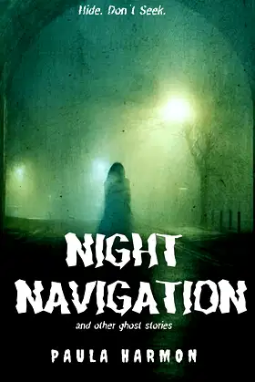 Night Navigation: and other ghost stories poster