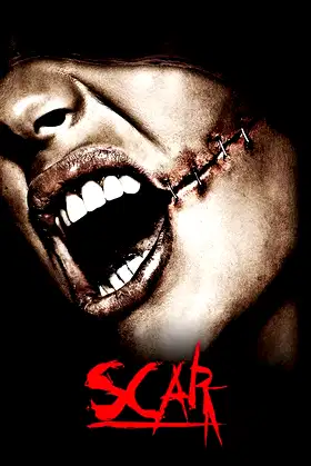 Scar poster