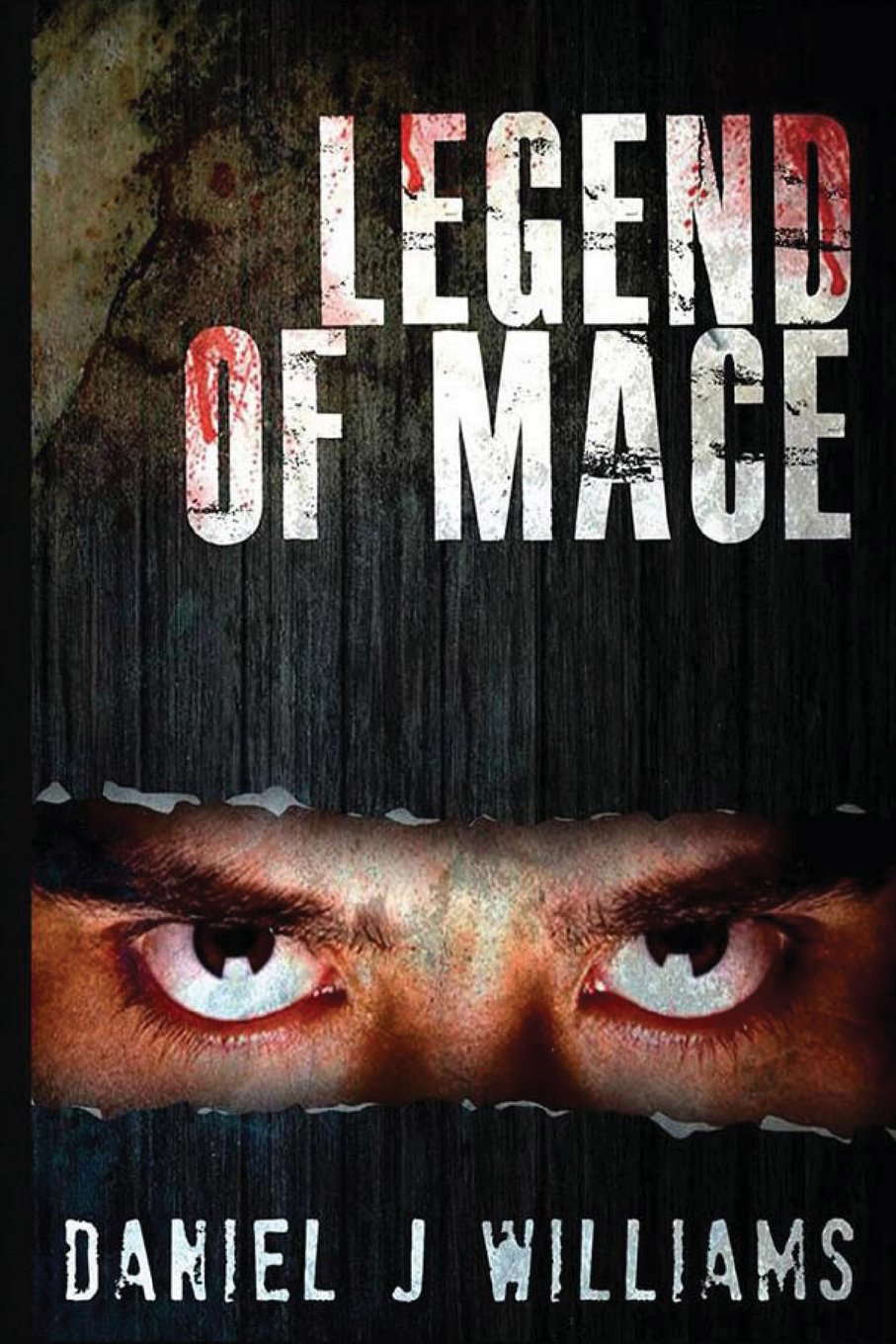 Legend of Mace poster