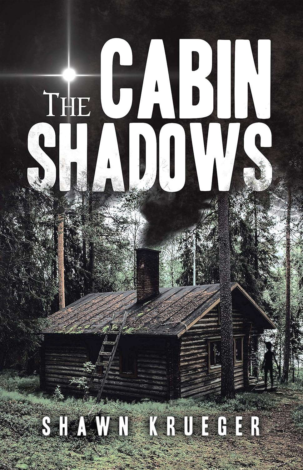 The Cabin Shadows poster