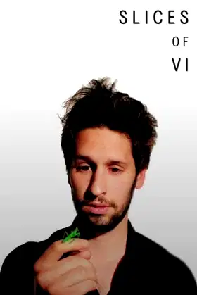 Slices of Vi poster