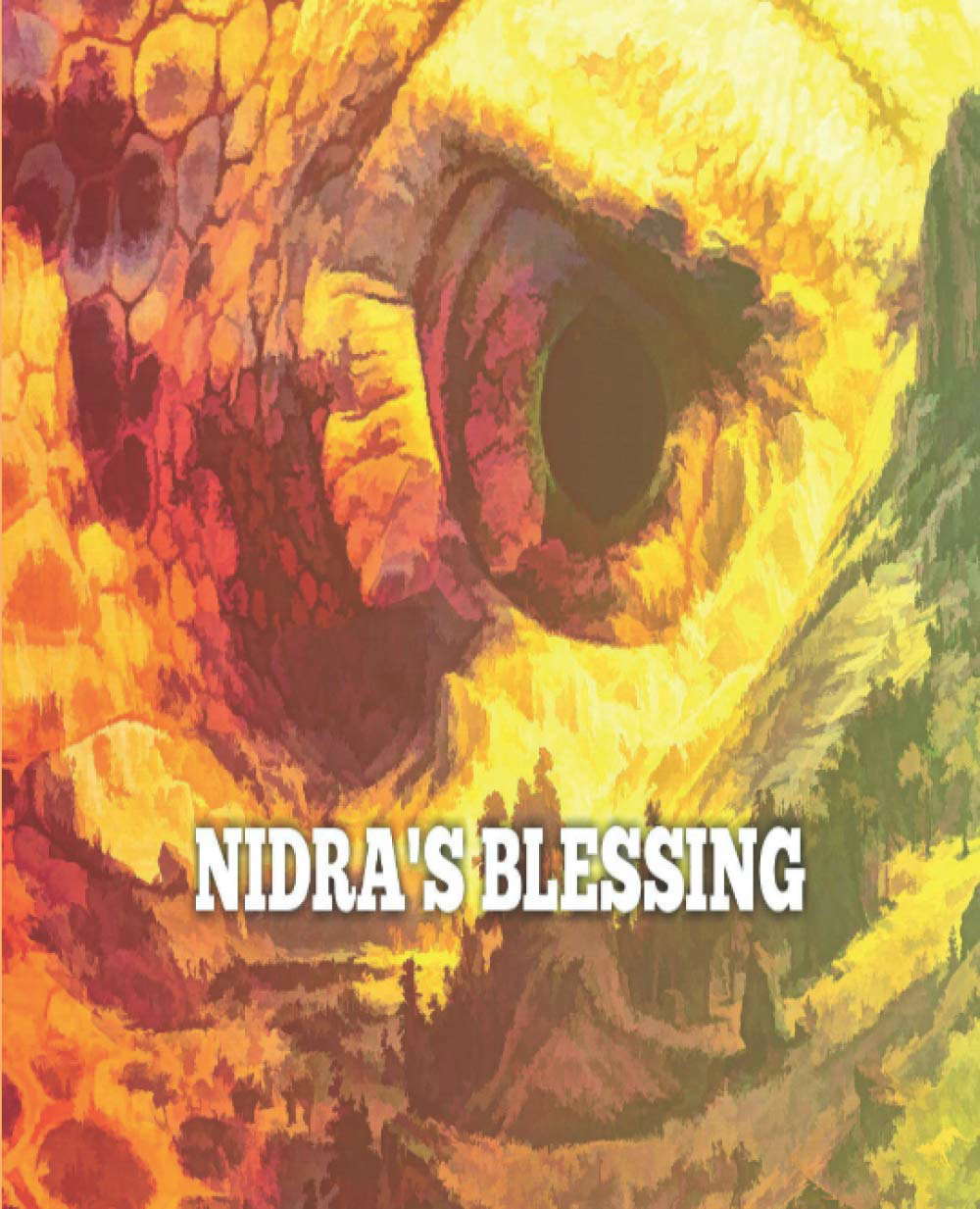 Nidra's Blessing poster