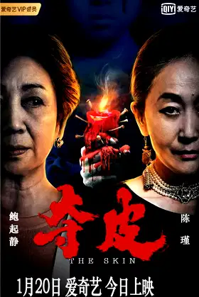 The Skin poster