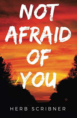 Not Afraid of You poster