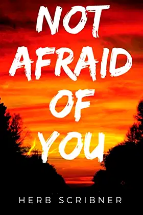 Not Afraid of You poster