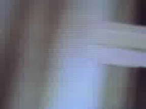 The pool 2 - 2006 trailer poster
