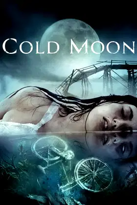 Cold Moon poster