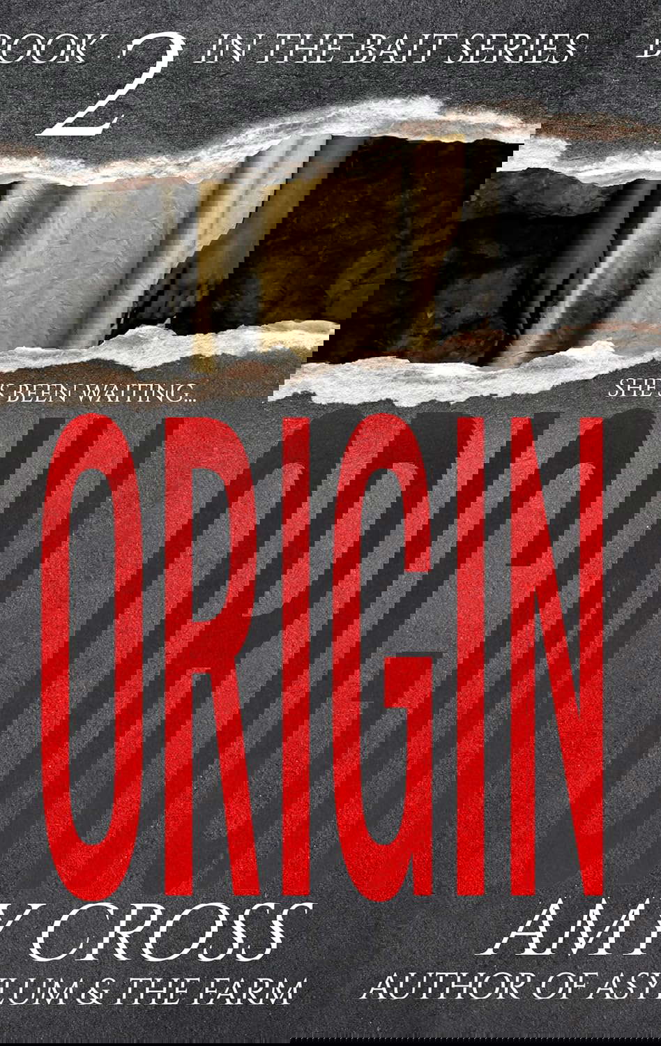 Origin (Bait Book 2) poster