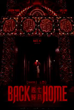 Back Home poster