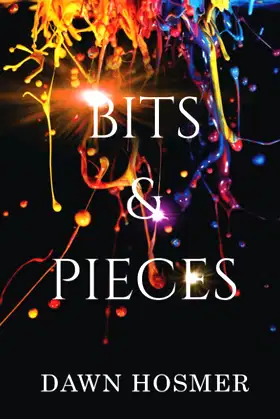 Bits & Pieces (The Bits & Pieces Series) poster