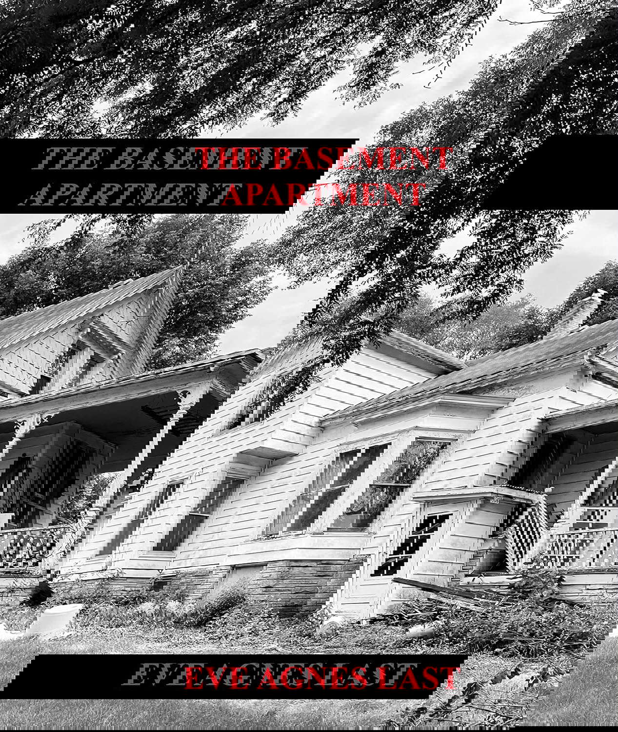 THE BASEMENT APARTMENT poster