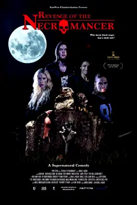 Revenge of the Necromancer poster