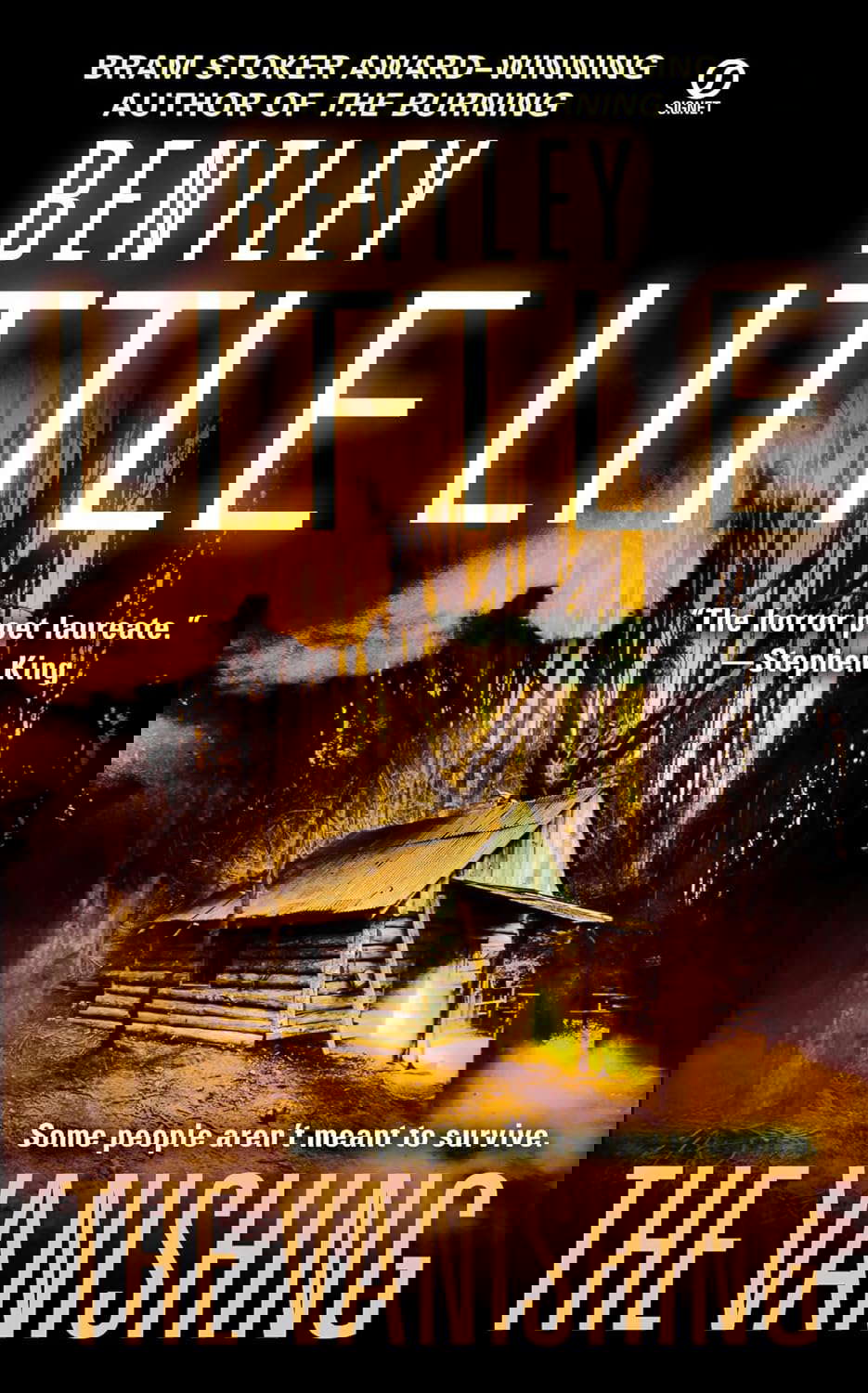 The Vanishing poster