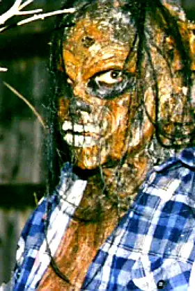 The Harvester poster